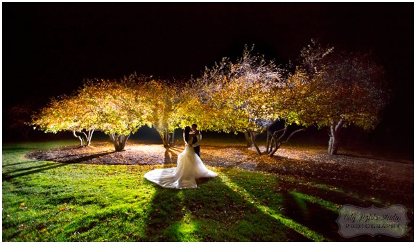 brierwood,buffalo photographer,buffalo wedding photography,city lights studio,don,lauren,magic light,night,wedding,