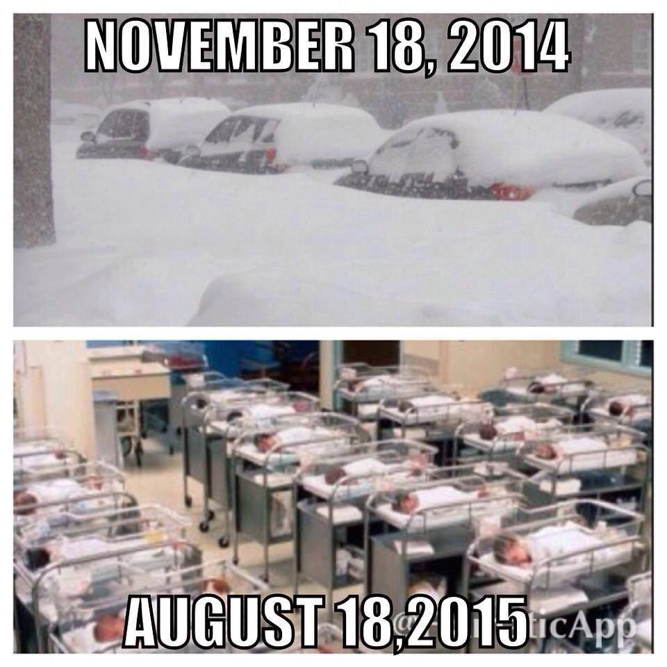 10430905_778338705563861_655896049835824009_n