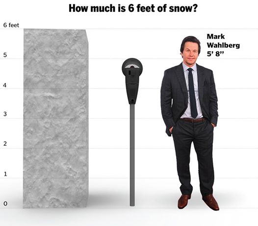 1450129_10152876507338258_1679823216585487563_n