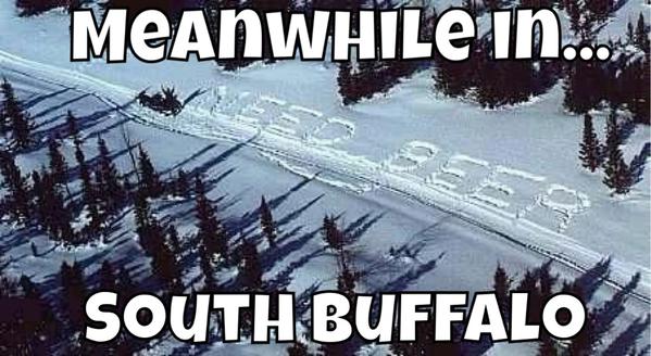 buffalo-snow-meme